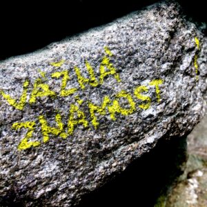 Cesta Vážná známost